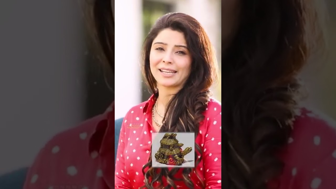 Tortoise Magic in Fengshui | Dr. Jai Madaan