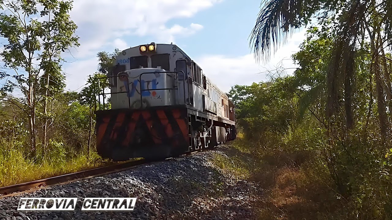 TREM CARREGADO COM SOJA CORTANDO O CERRADO NA ZONA RURAL DE CURVELO 