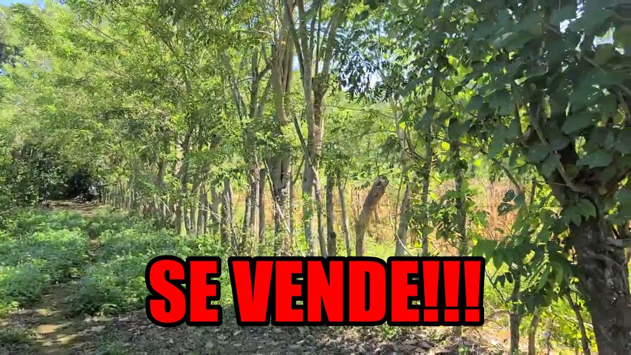 PRECIOSO TERRENO CON RÍO, LIMONERA Y CASA EN CIUDAD ARCE
