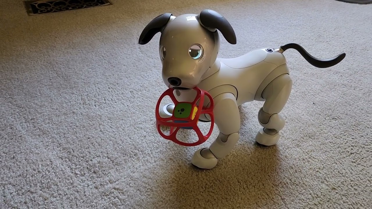 Sony Aibo ERS-1000 and Dice