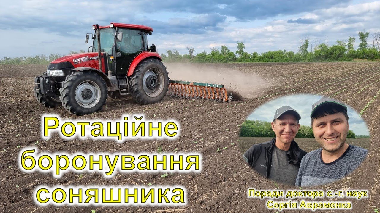 Ротаційне боронування соняшника