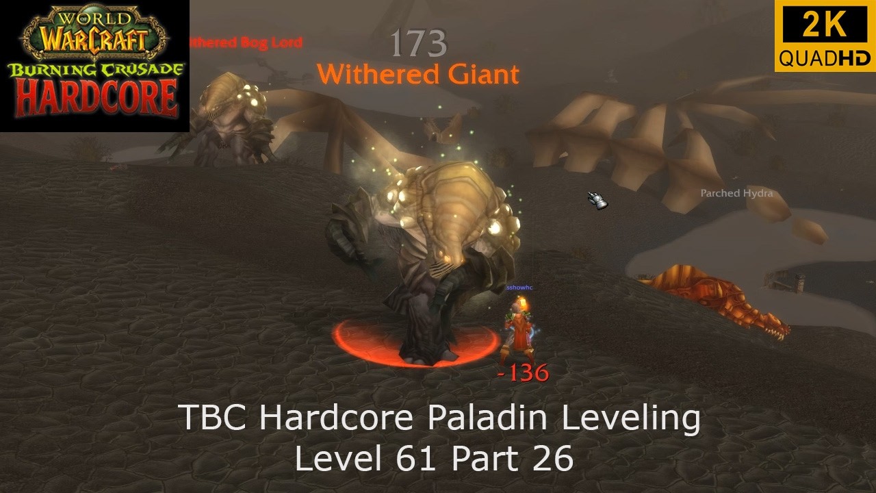 💀WoW TBC Hardcore | Paladin Leveling | Level 61 Part 26 | Retri Paladin PoV | 2K