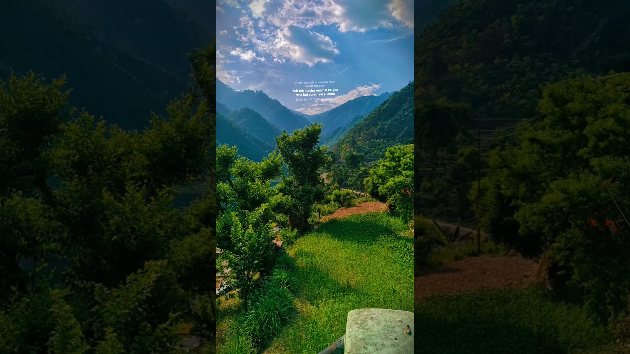 🪷.   #nature #naturelovers #lovethenature #livewithnature #virlshort