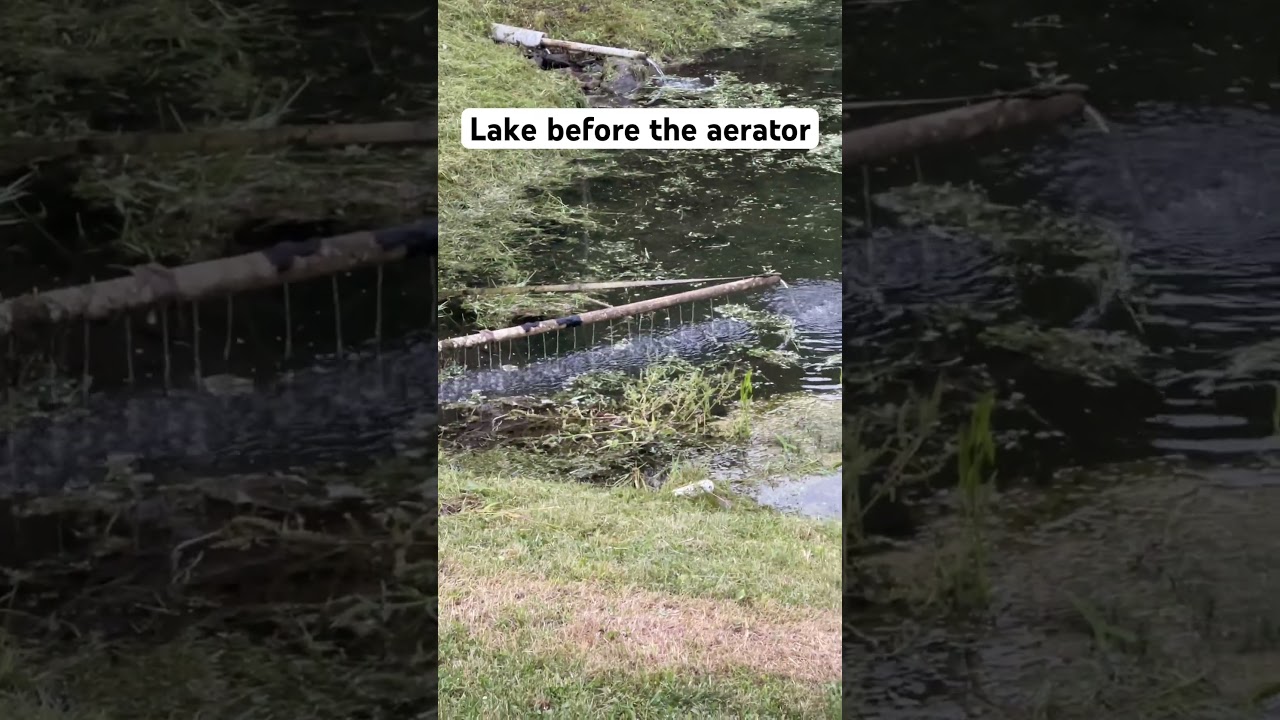🎣 Before the Aerator: Our Lake's Journey Begins..Algae and murky water #lakeaeration #pondaeration