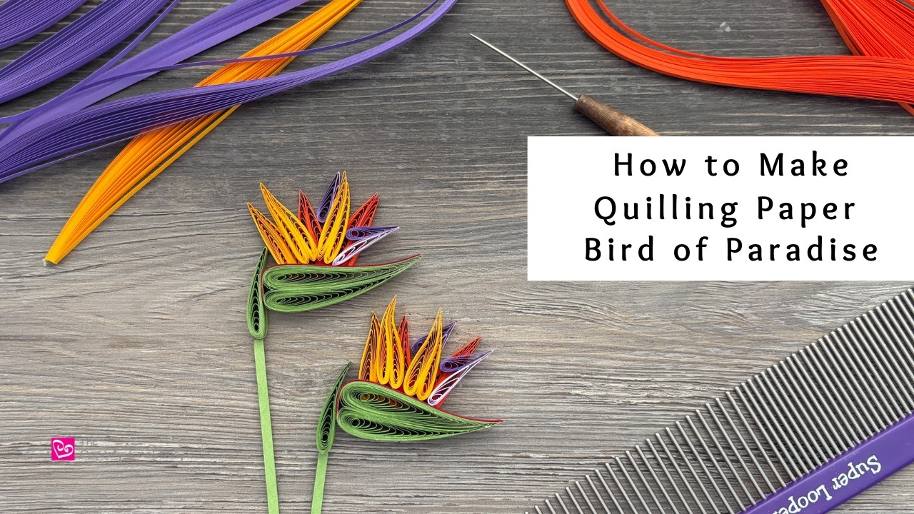 How to Make Quilling Paper Bird of Paradise Flowers | Tropical Paper  | Quilling for Beginners