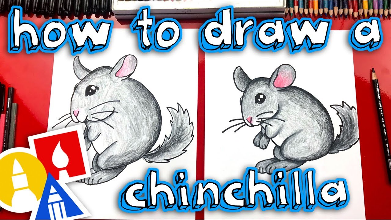 How To Draw A Chinchilla - Replay Live Draw Along