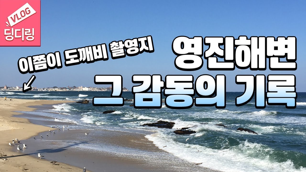인피니트도 추천한 영진항 도깨비 촬영지! 영진해변 그 감동의 기록! 평창 오셨을 때 들려보세요! 뚜벅이 강릉 여행!