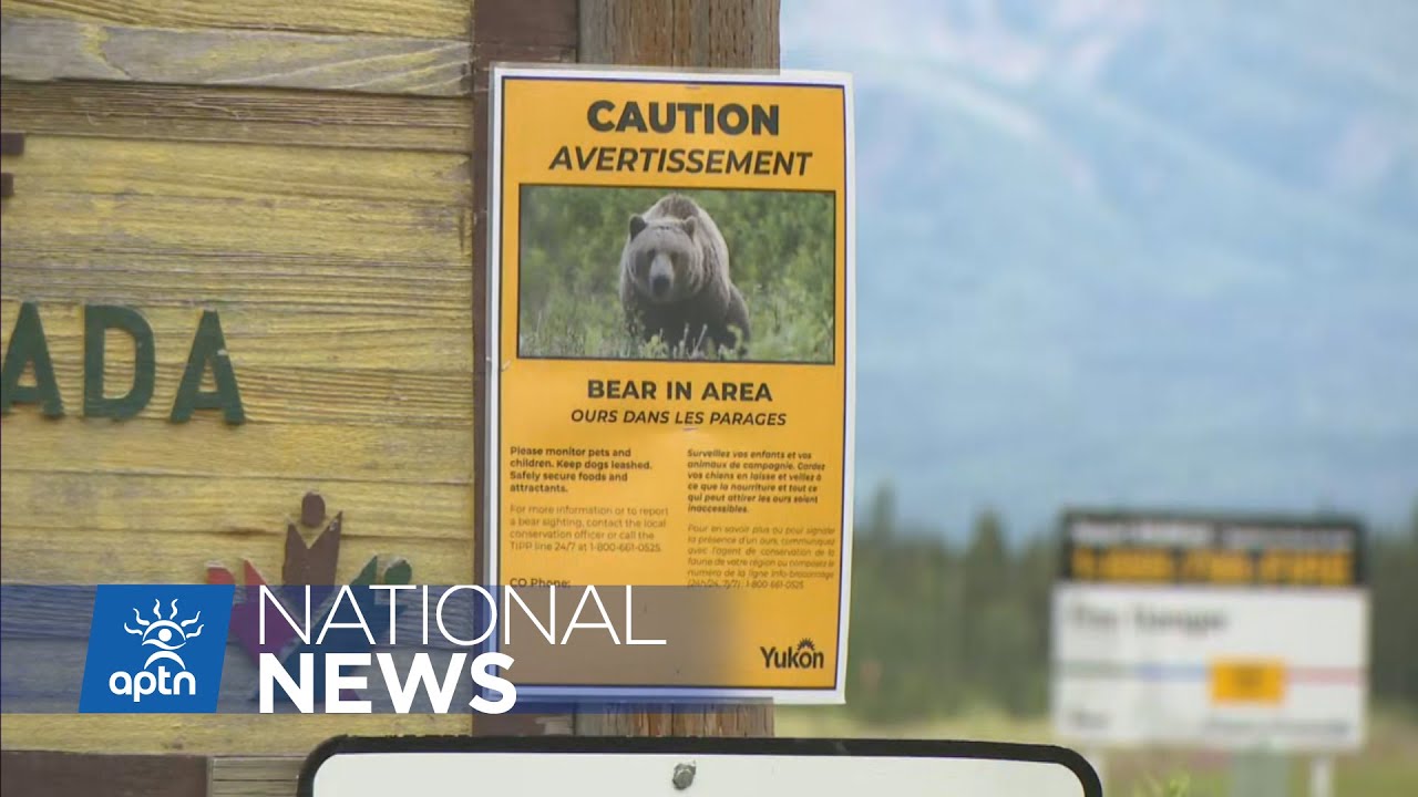 Kaska woman credits hair clip for surviving grizzly bear attack in Yukon | APTN News
