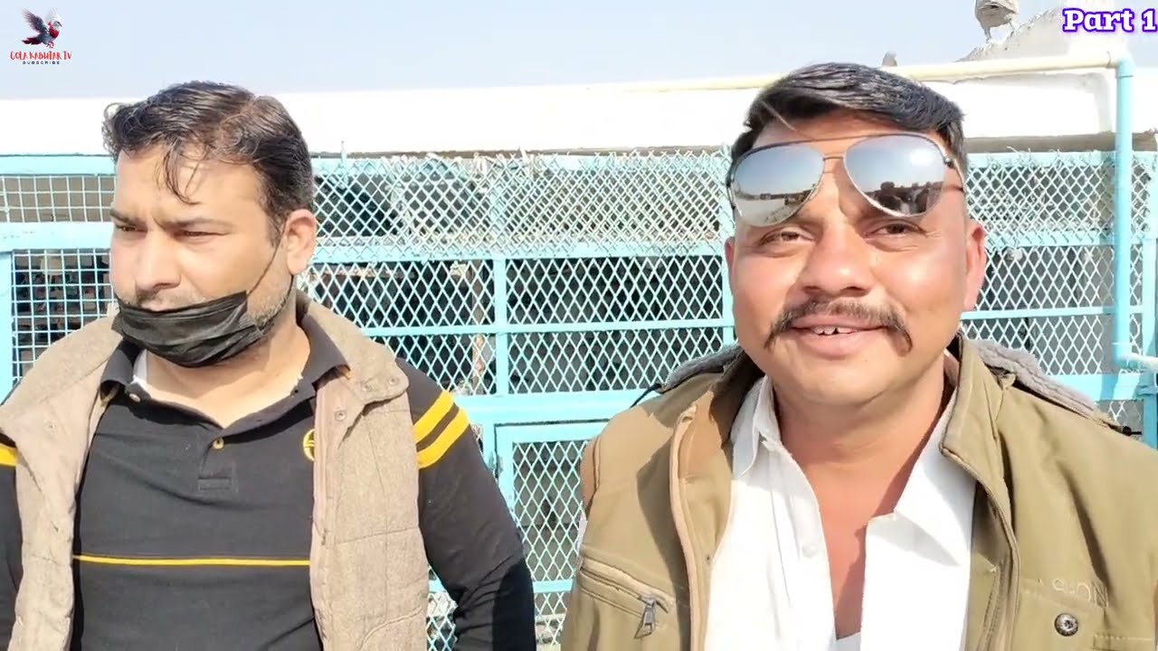 Most Expensive Breeding Setup Loft | Ustad Aslam Makhan Walay (Part 1) .. 🧐
