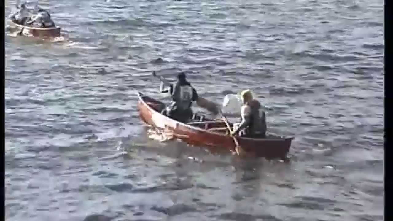 Melontakisat Timitranniemessä (Lieksa, kesä 1991)