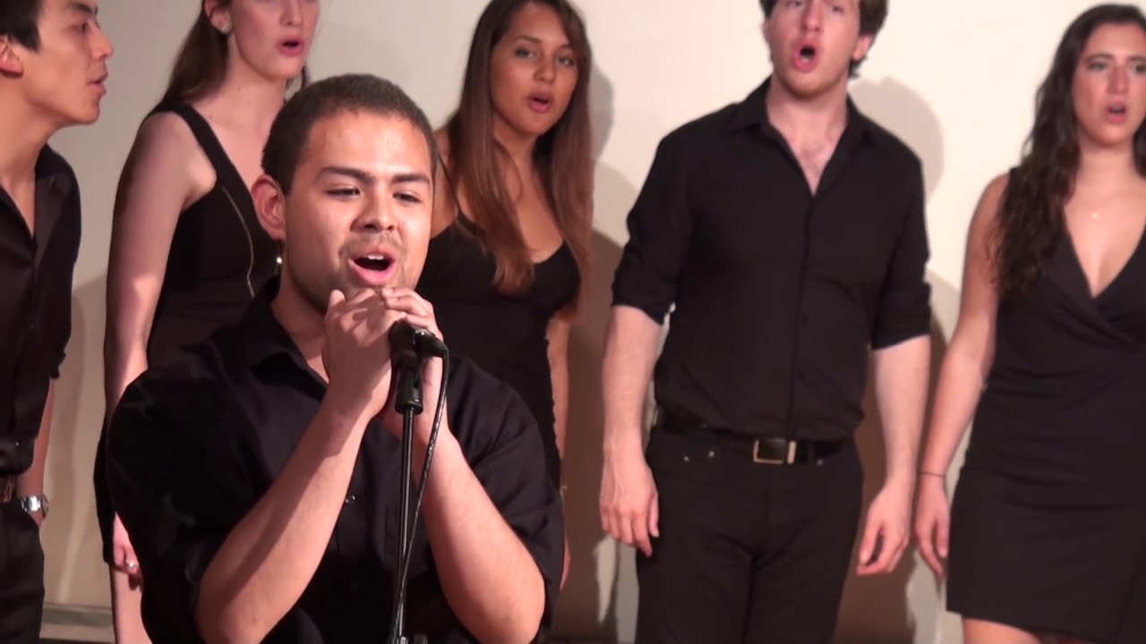 Somebody That I Used to Know (Gotye) - THUNK a cappella