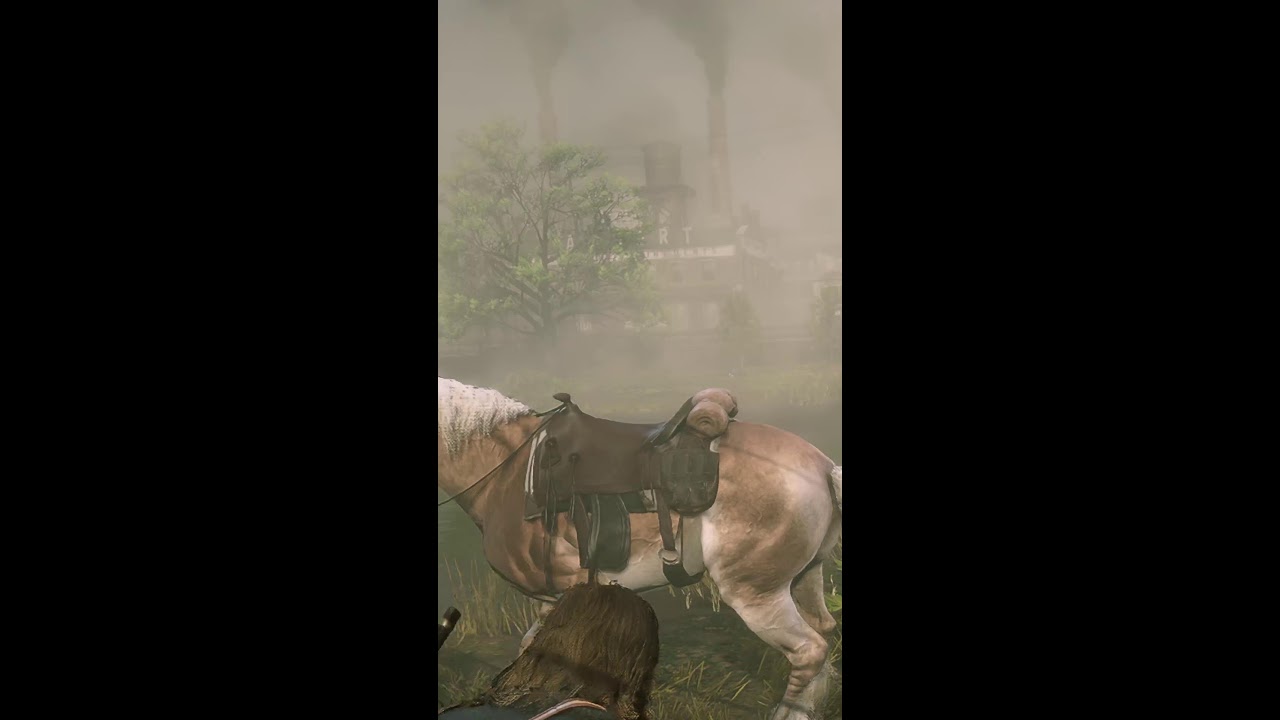 RED DEAD REDEMPTION 2 (4K GAMEPLAY