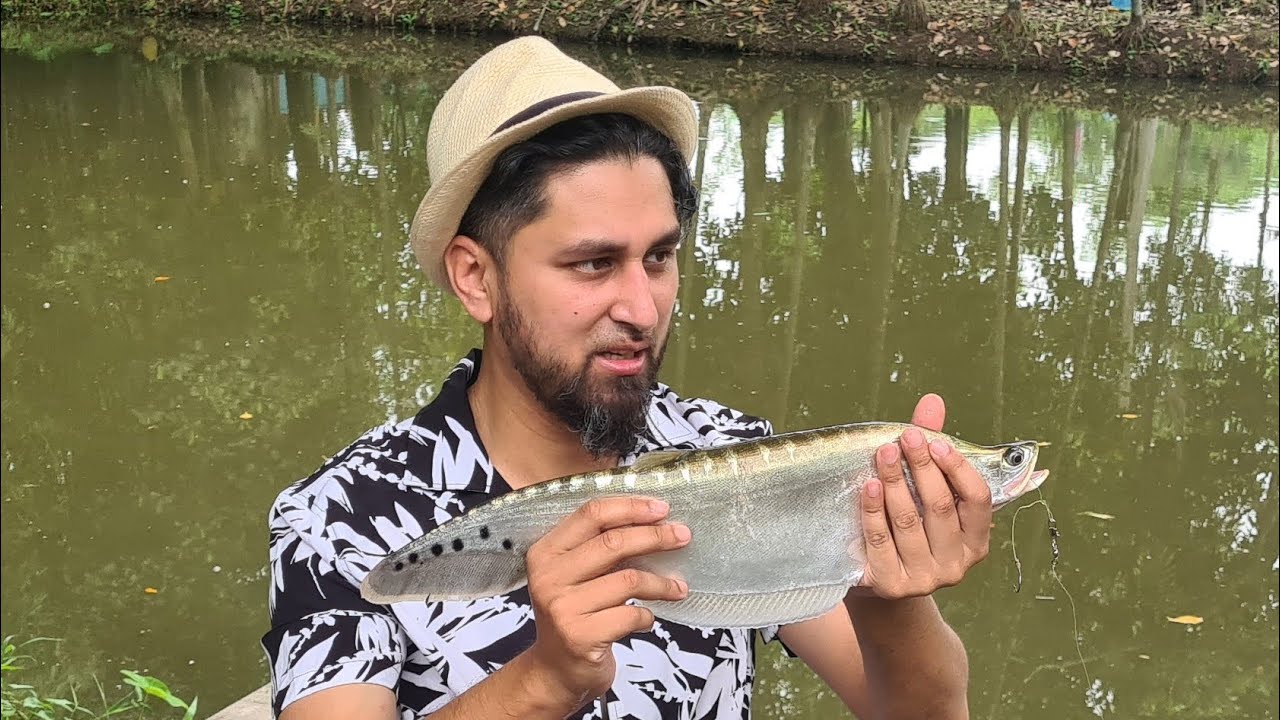 Sylhet, Random Fishing clips. Bangladesh vlog 22