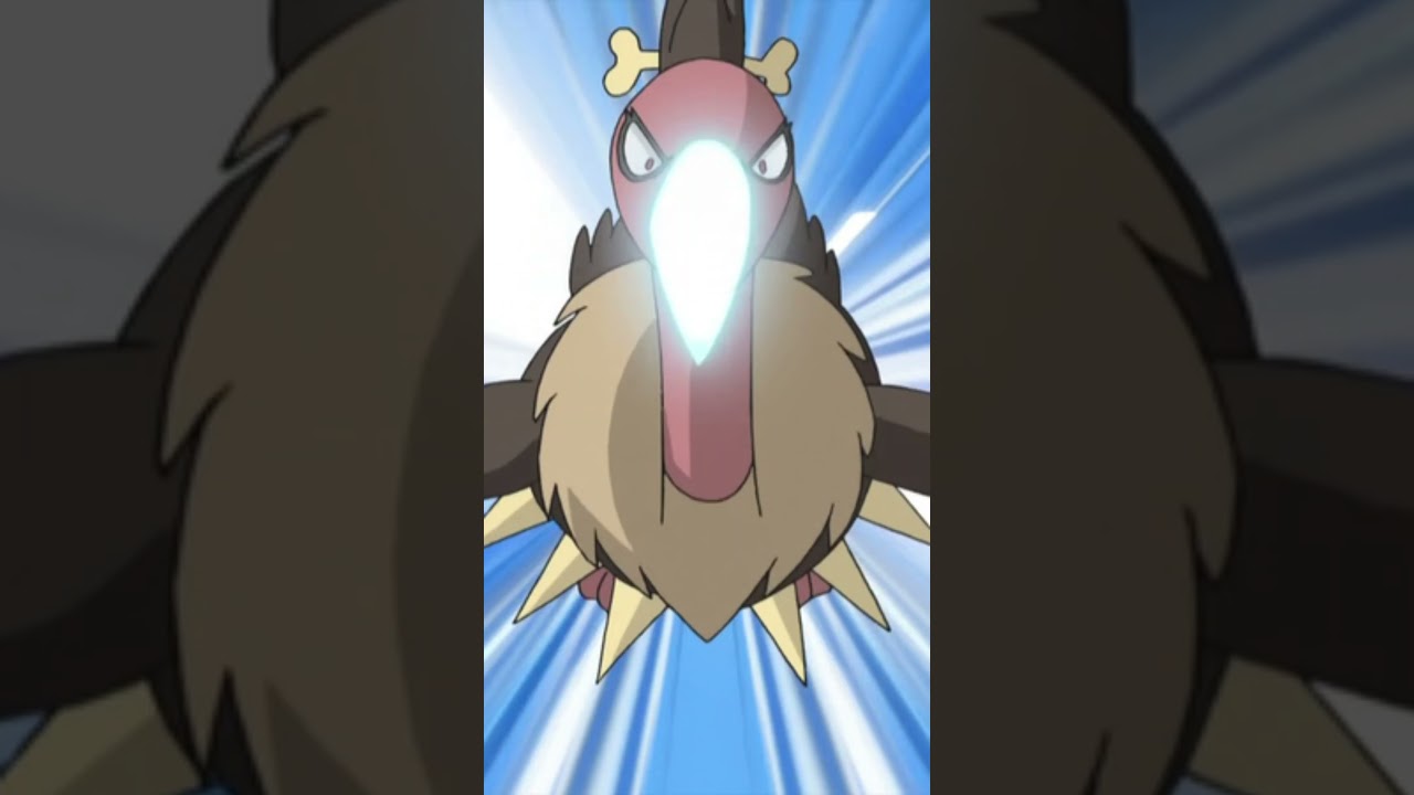 Could I beat these Pok&eacute;mon in a fight? - Vullaby, Mandibuzz