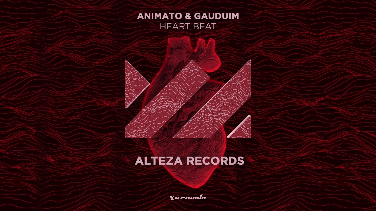 Animato vs Gaudium - Heart Beat