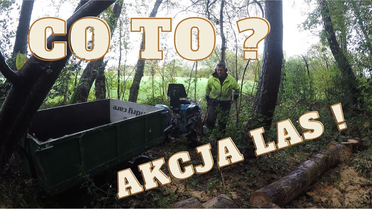 Wyjazd Do Lasu ! Fotopułapka ! O Co Tu Chodzi?