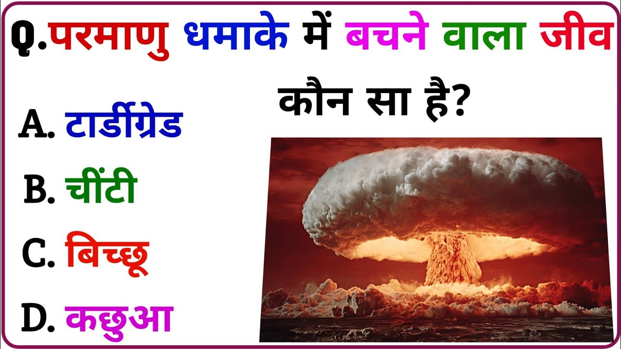 Gk Question || Gk in Hindi || General Knowledge || Gk Question and Answer || Gk Quiz