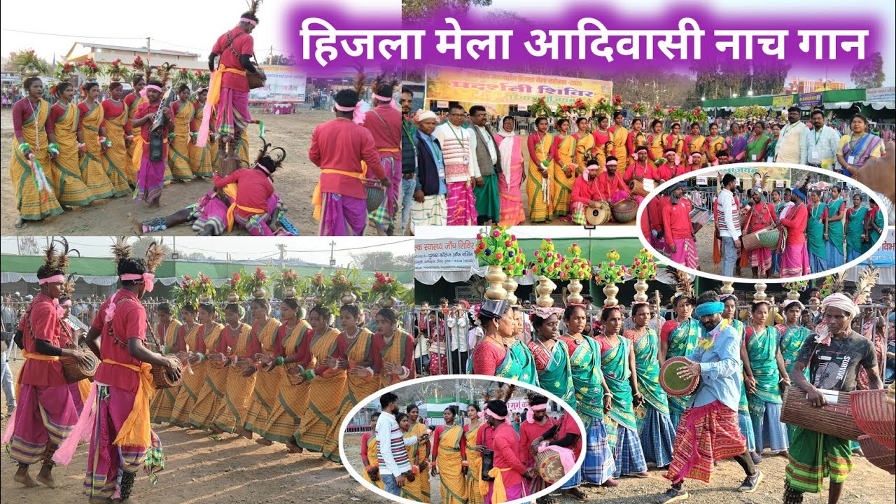 हिजला मेला, आदिवासी नाच गान 2026 