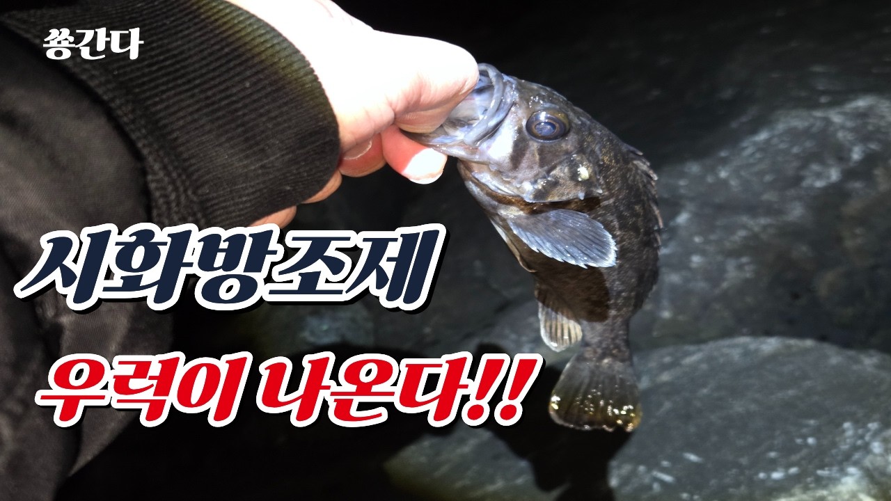 시화방조제에 초보 낚시꾼이 간다!! 우럭아 고마워!!