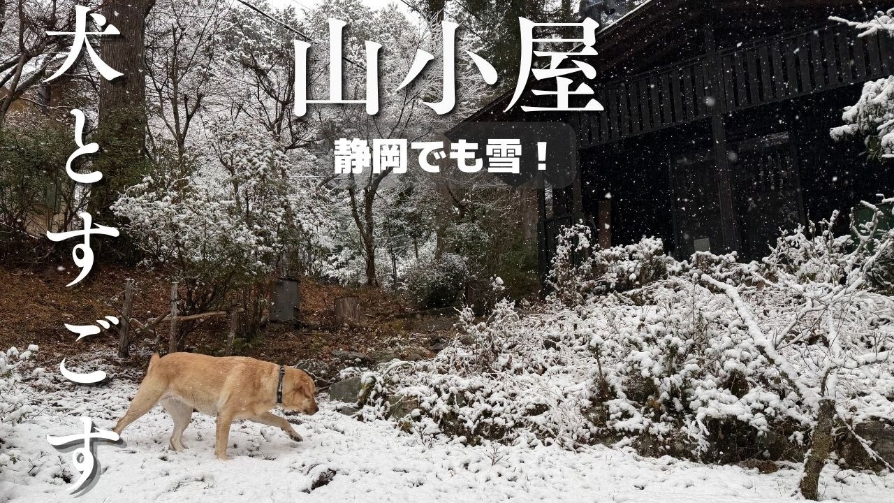 静岡では珍しい雪の山小屋｜犬と静かに過ごす冬の日