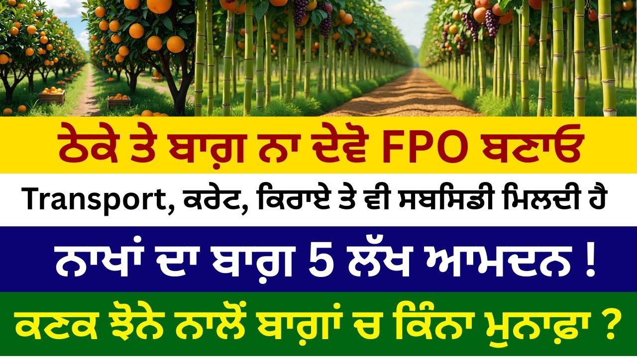 ਠੇਕੇ ਤੇ ਬਾਗ਼ ਨਾ ਦੇਵੋ FPO ਬਣਾਓ । Transport, ਕਰੇਟ, ਕਿਰਾਏ ਤੇ ਵੀ ਸਬਸਿਡੀ #horticulture #punjabi #plants 