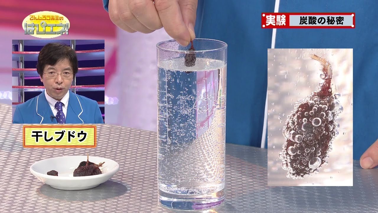 炭酸の秘密／The Secret Behind Carbonic Acid
