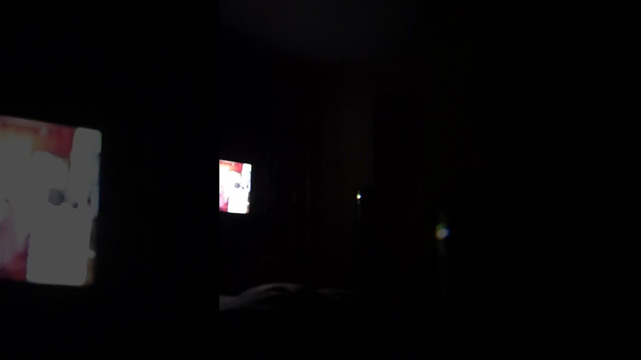 the pre adamites a brief chat