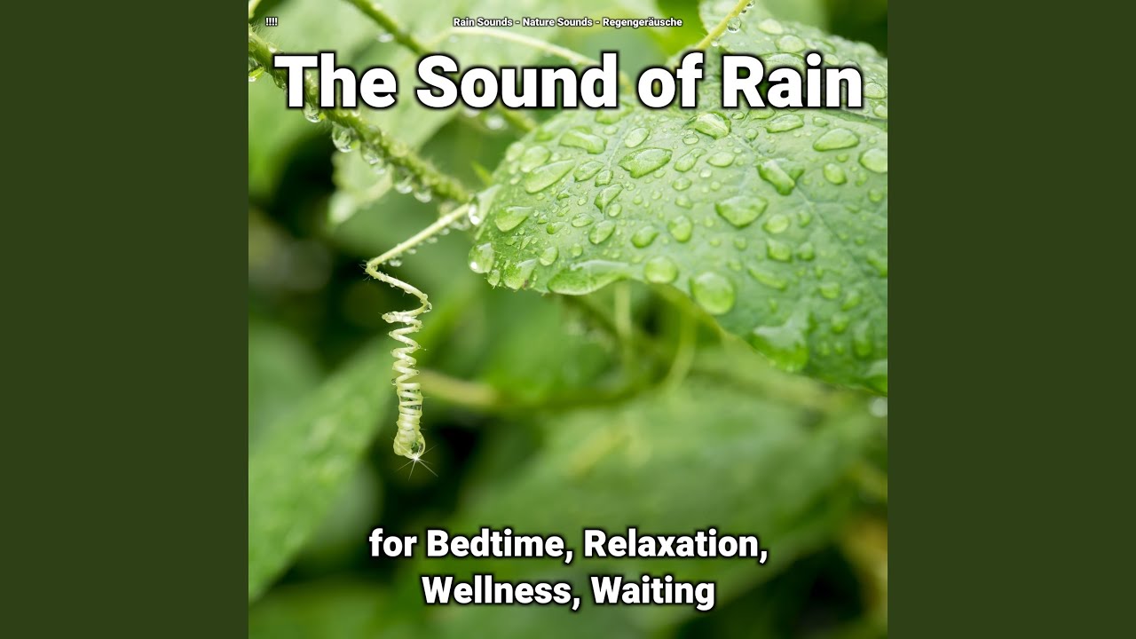Mindfulness Audio