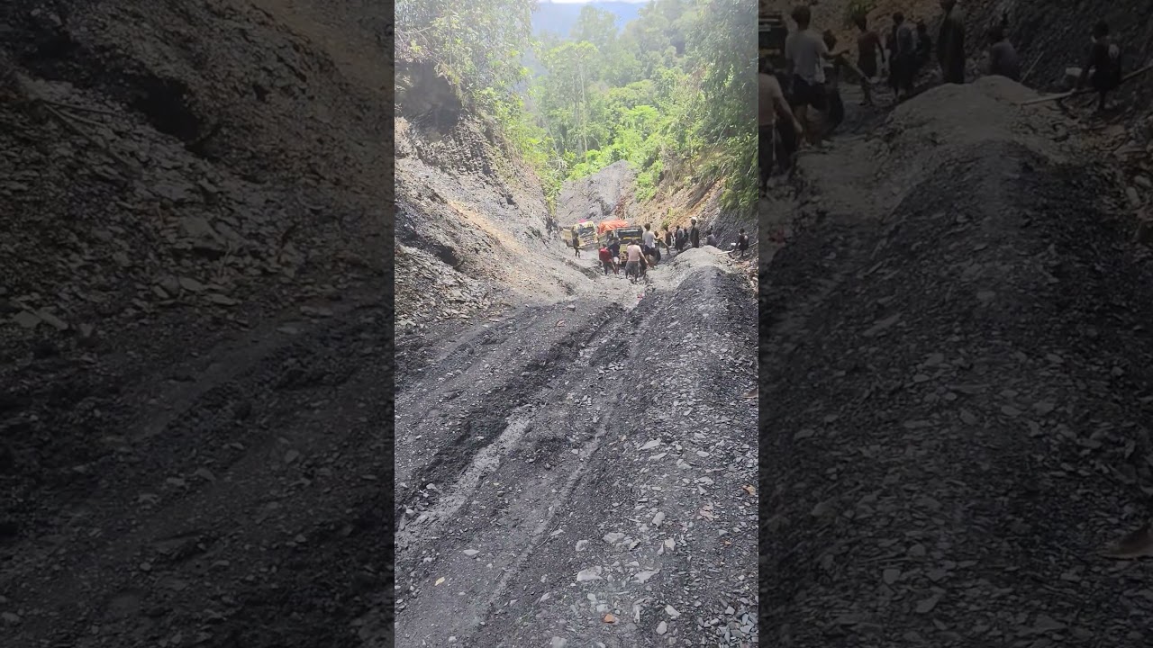 lajuran trans papua 
