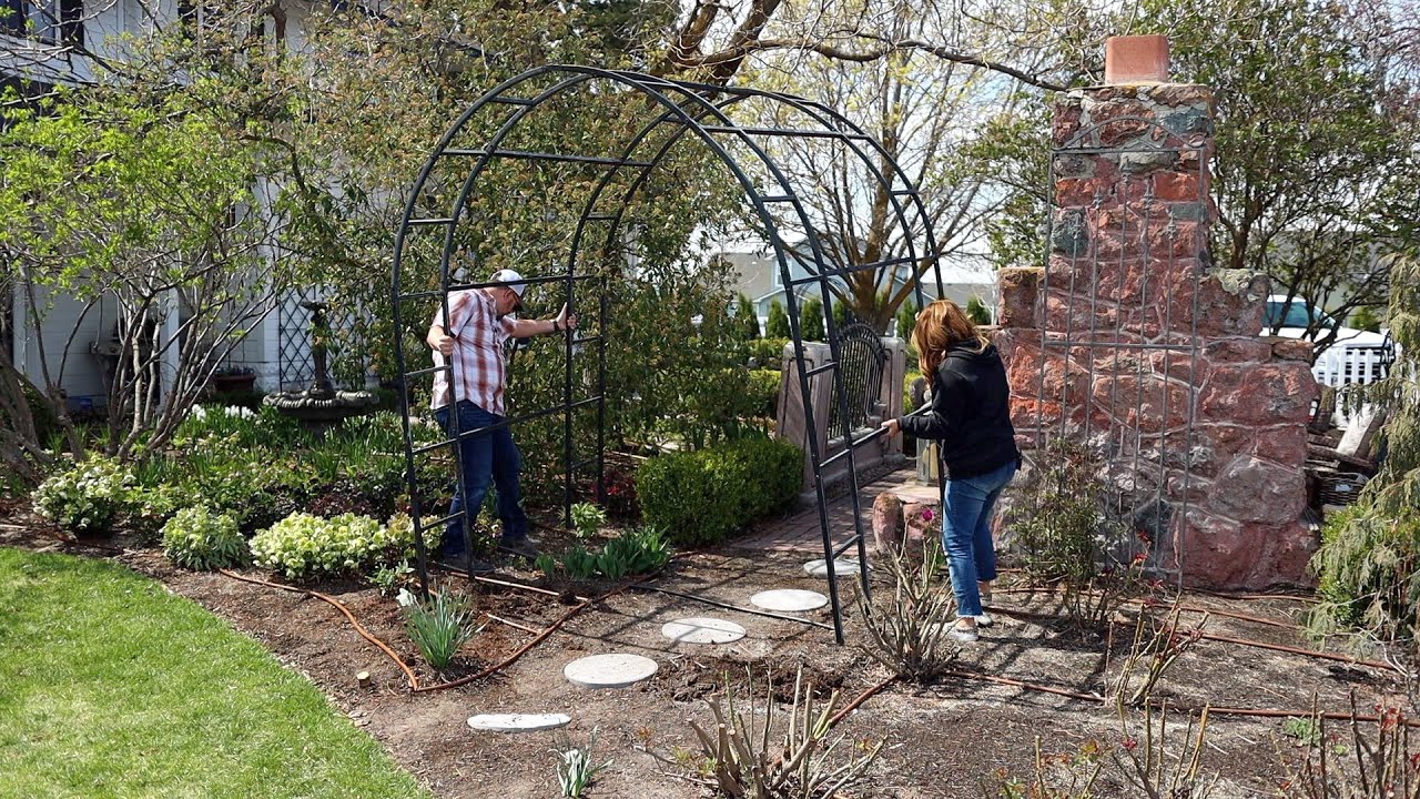 A Project Gone Awry 🥴 & Transplanting a Venus Dogwood! 🌳 // Garden Answer