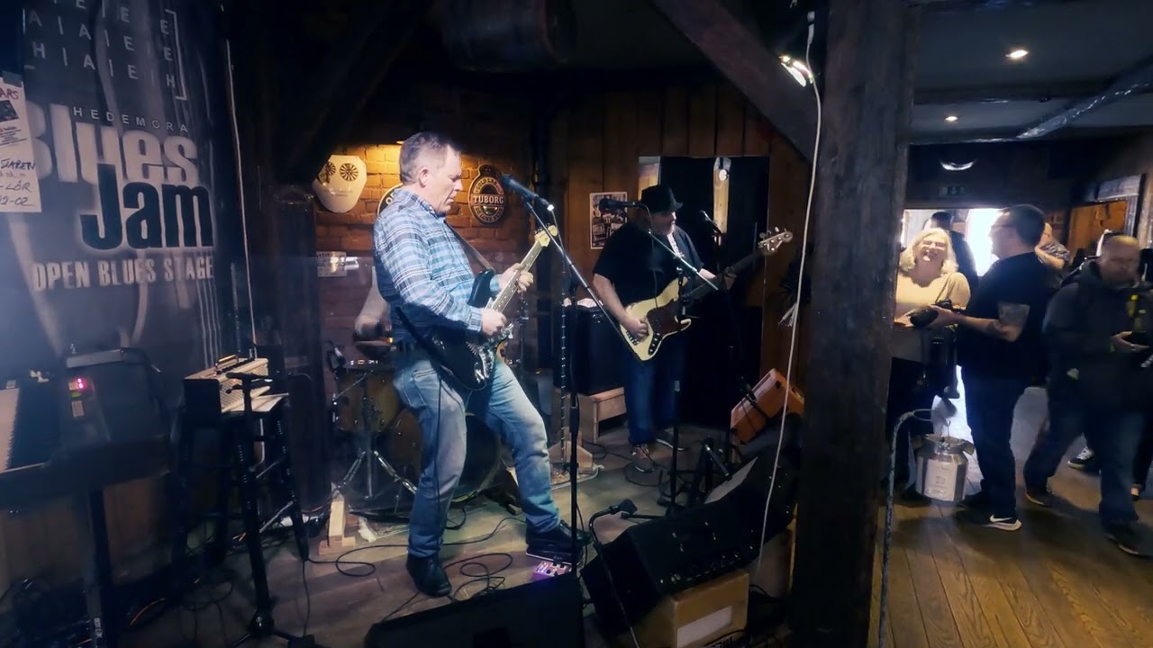 Feedback Family - Hedemora Blues Jam