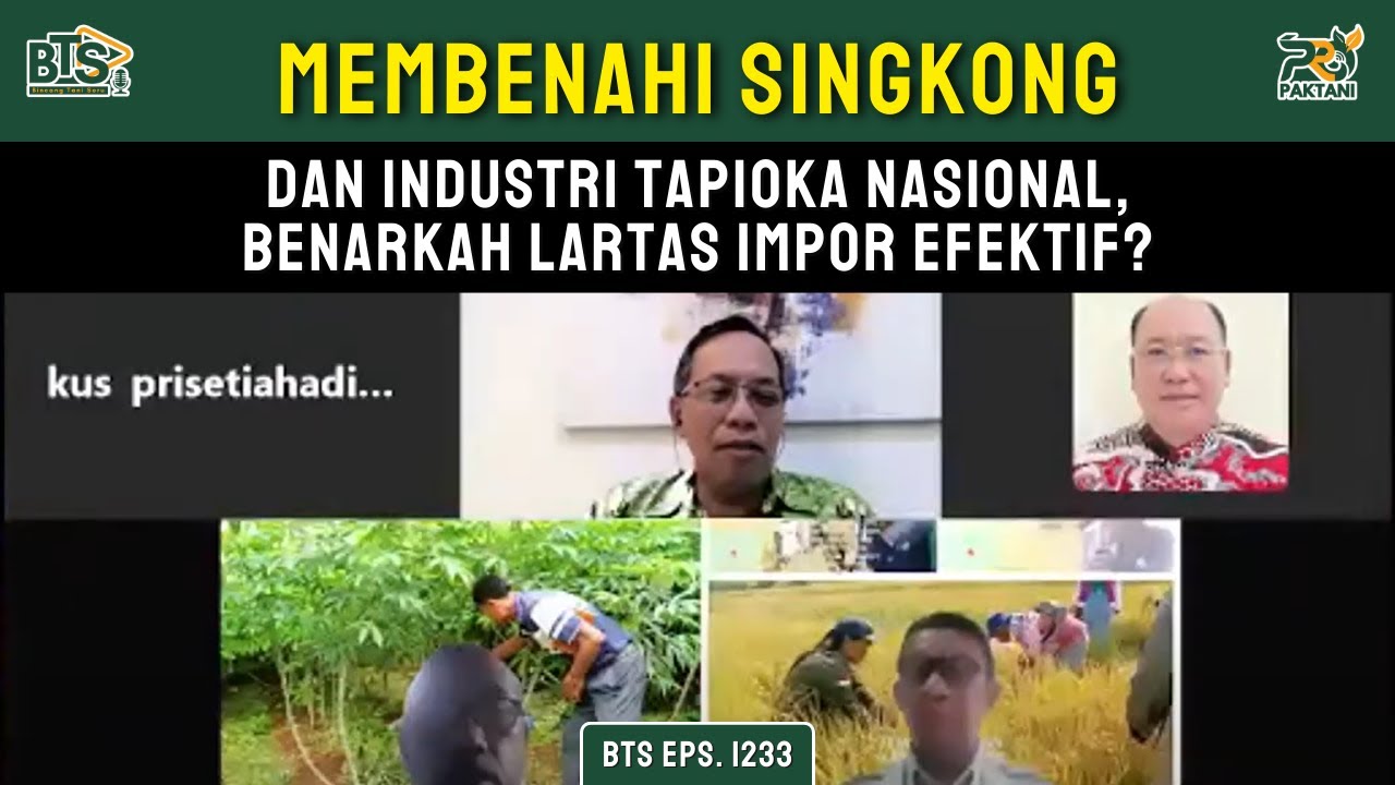 BTS Eps. 1233 - Membenahi Singkong dan Industri Tapioka Nasional, Benarkah Lartas Impor Efektif?