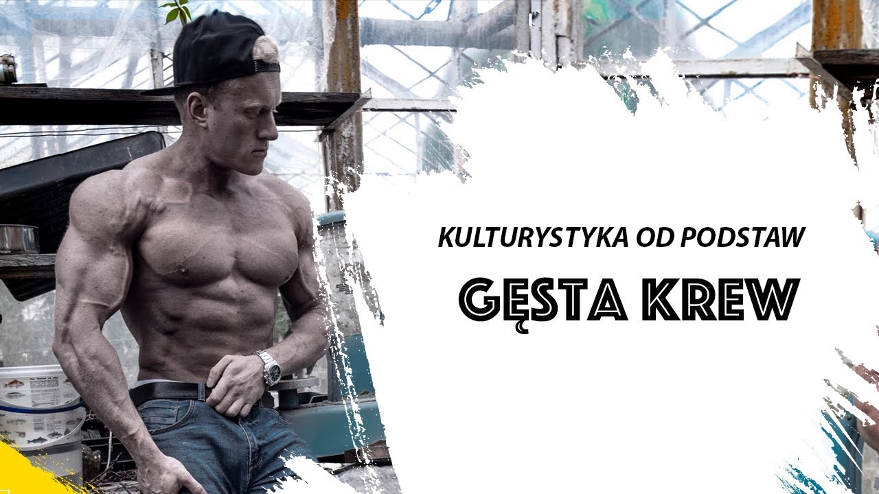 Kulturystyka Od Podstaw - Gęsta krew