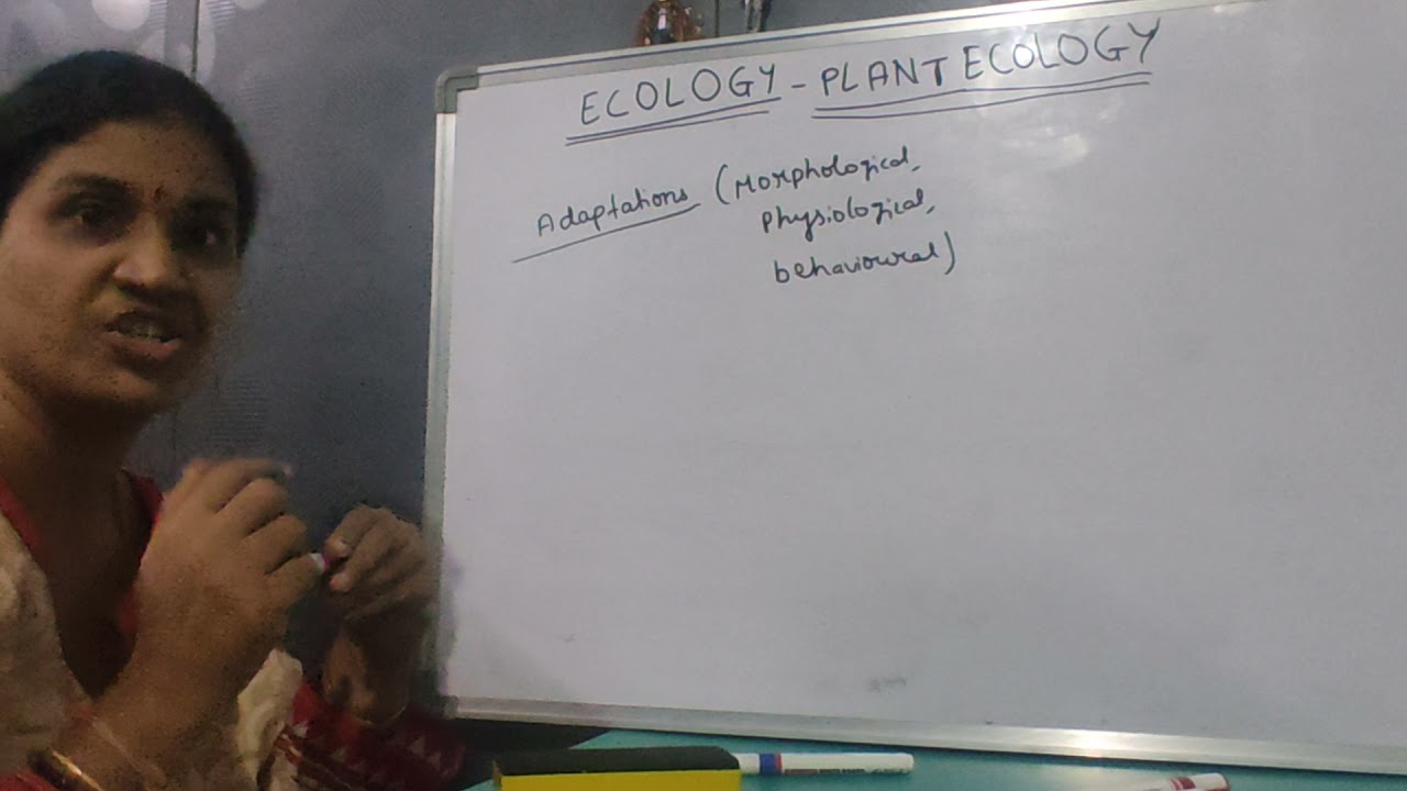 Plant EcologyPart-1(Introduction, Plant Communities Adaptations Hydrophytes,Mesophytes& Xerophytes)
