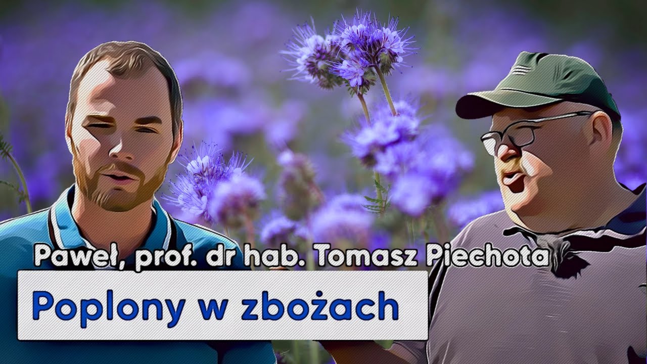Prof. Piechota radzi: Zamiennik głębosza i wysiew poplonów w monokulturze zbożowej - e-pole #107