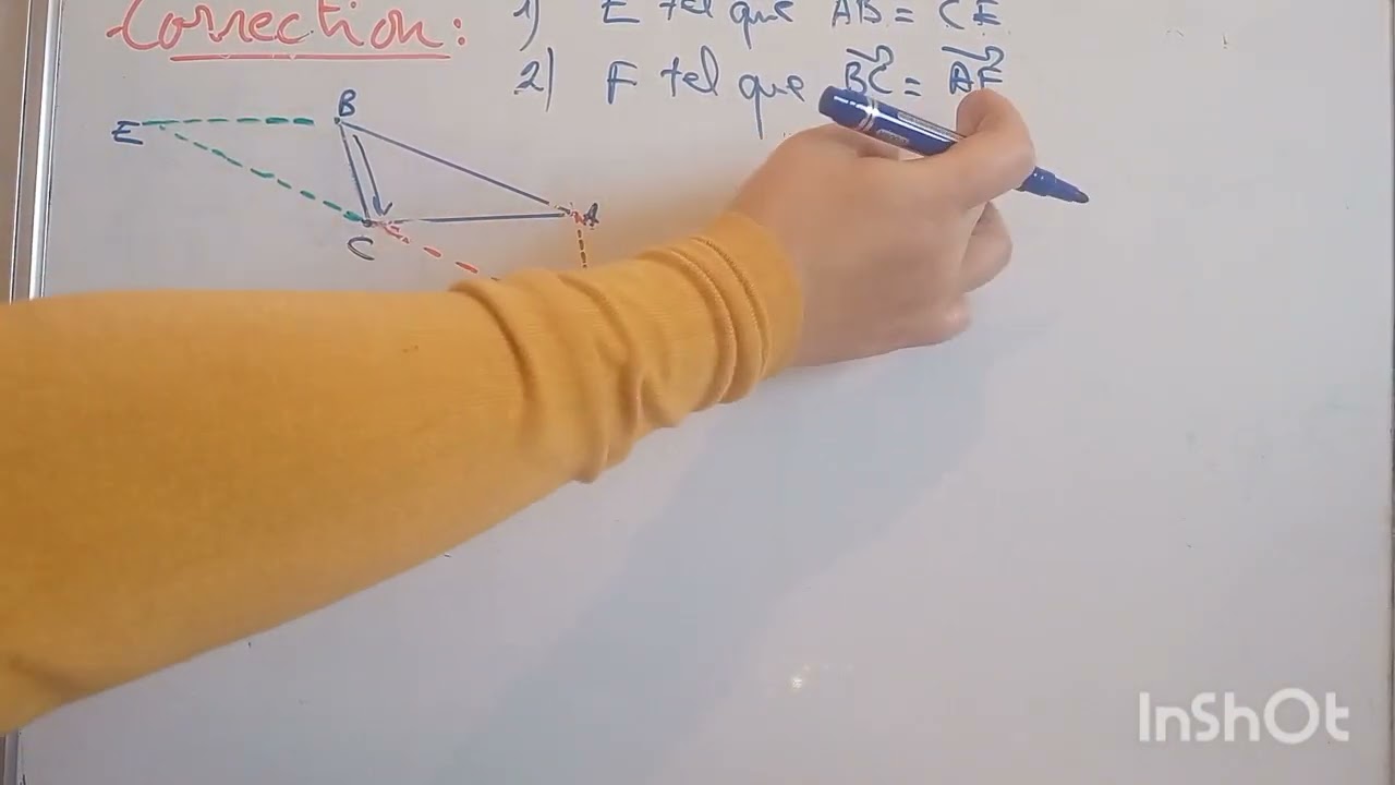 Exercice 2 : Vecteurs et transslation
