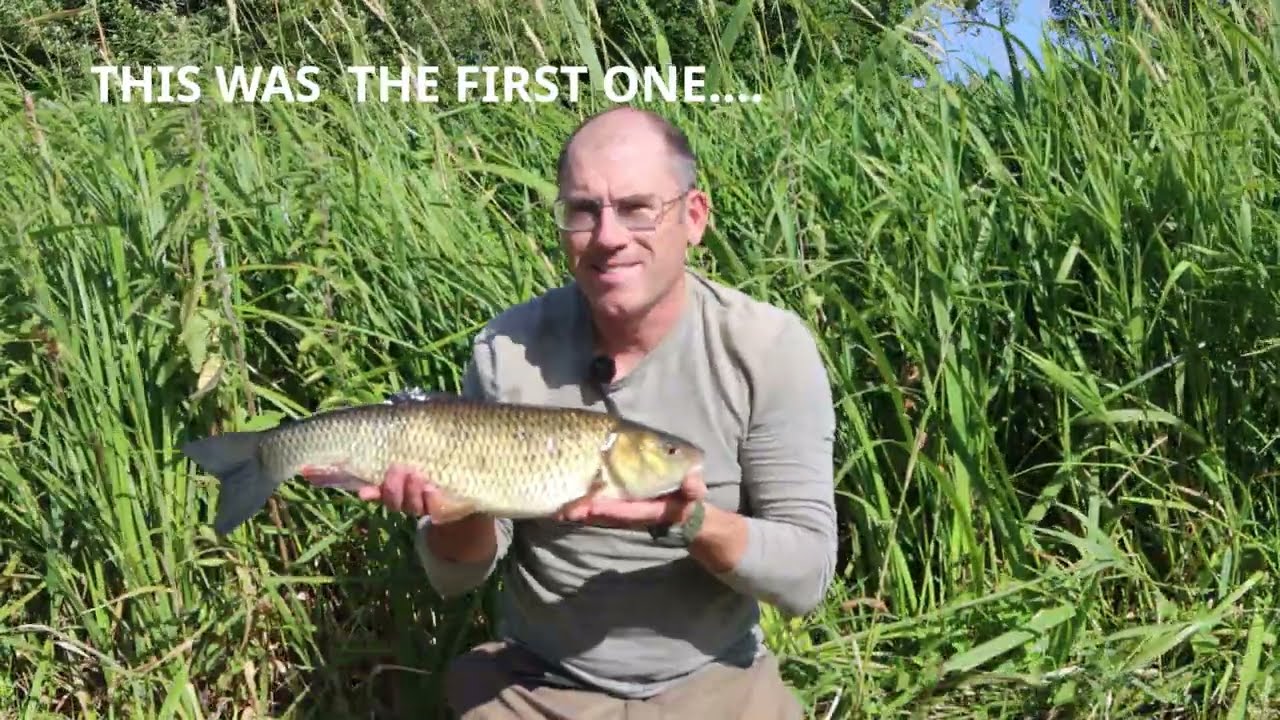Avoiding the Blank 25 Part 7 (Summer Chub fishing on the Bristol Avon and Hampshire Avon)