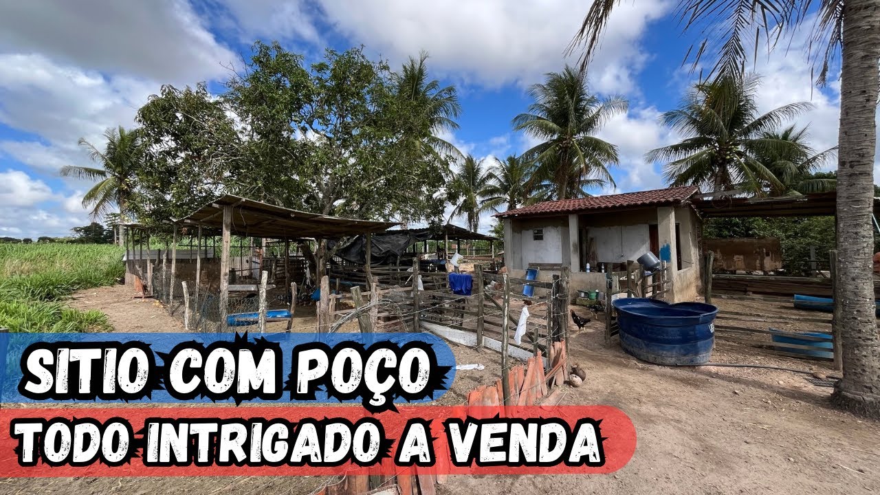 SÍTIO A VENDA COM MUITAS FRUTEIRAS BOA PARA PLANTAR E CRIAR ÁREA TODA PRONTA PARA IRRIGAÇÃO #sitio