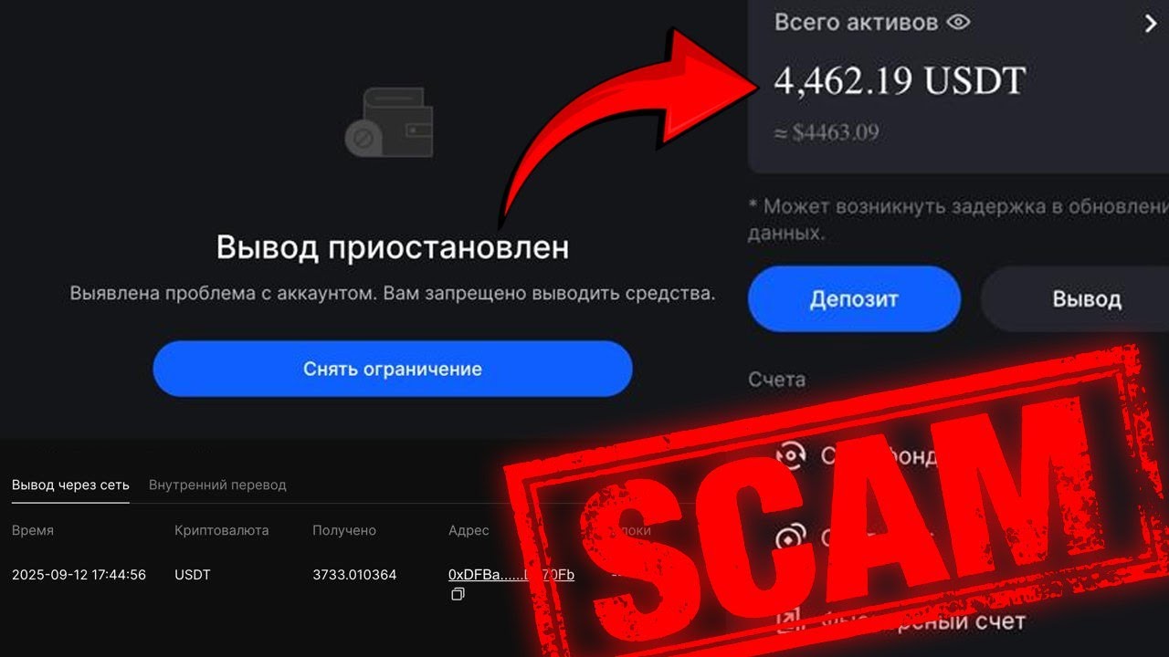 БИРЖА BINGX УКРАЛА 4000$ КАК ТВОИ ДЕНЬГИ МОГУТ ЗАМОРОЗИТЬ НА БИРЖЕ В 2025! ПОЧЕМУ BINGX ЭТО СКАМ!