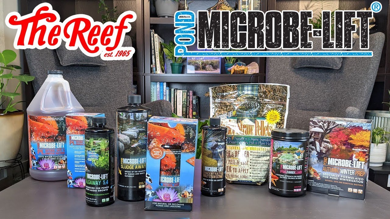 MICROBE-LIFT POND PRODUCTS | TUESDAY LIVE Q&A | The Reef Aquarium Shop