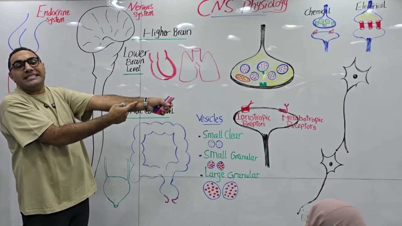 CNS Physiology lecture-1 Kasr Alainy 2025 by dr. Elsherif