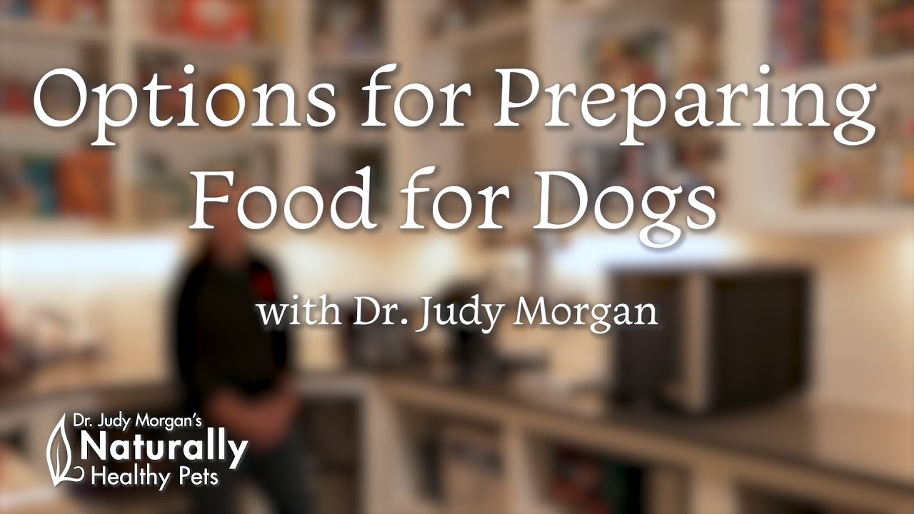 Options for Preparing Food for Dogs