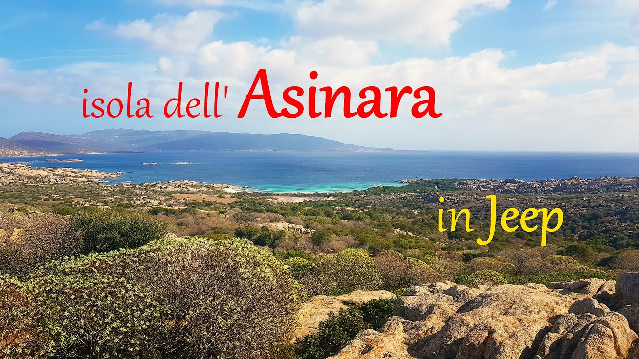 Isola dell'Asinara in Jeep 4K Sardegna (SS)