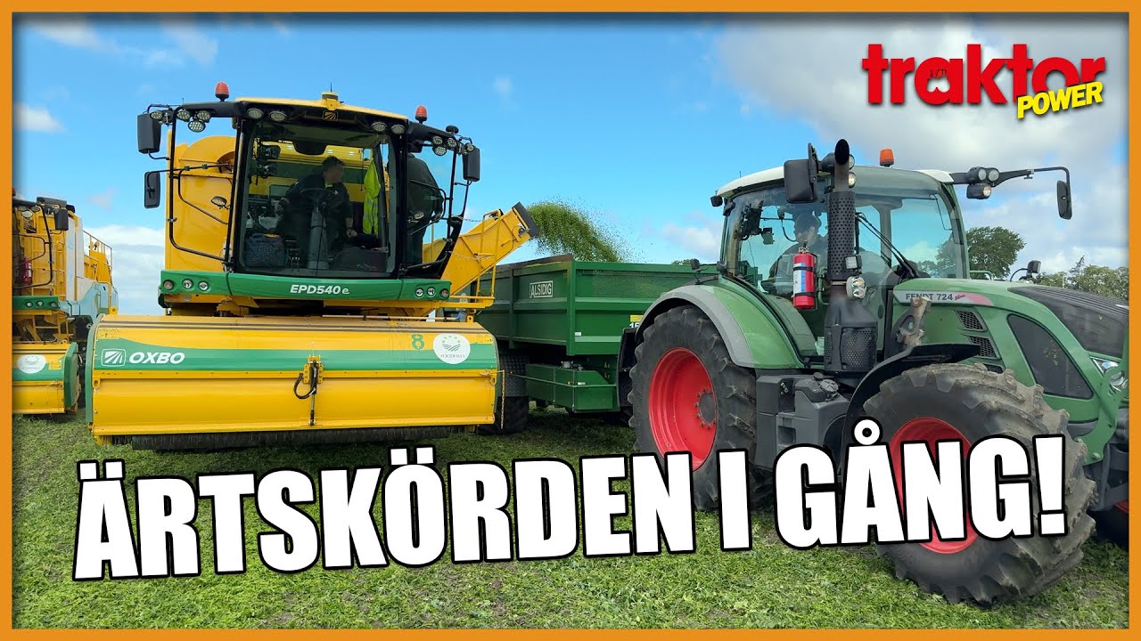SKÖRD AV GRÖNT GULD – Häng på när Foodhills skördar ärter