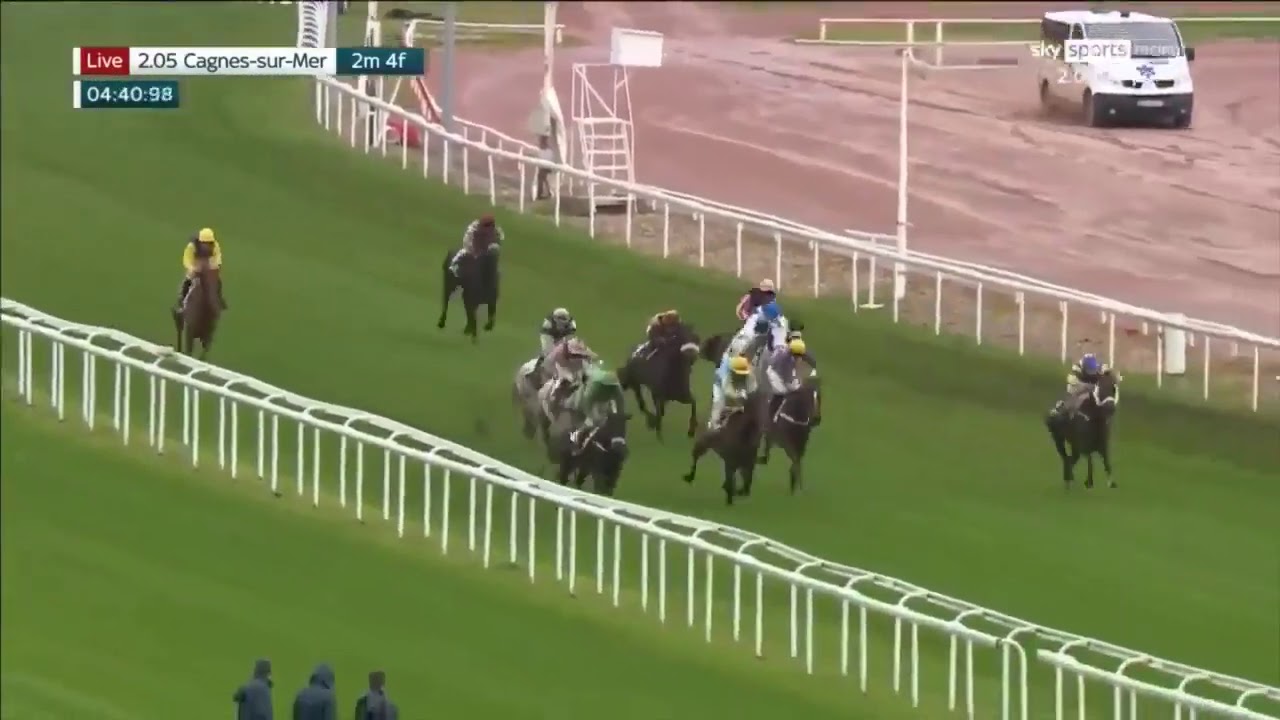 Shocker! Jockey banned for 15 days after extraordinary ride in France