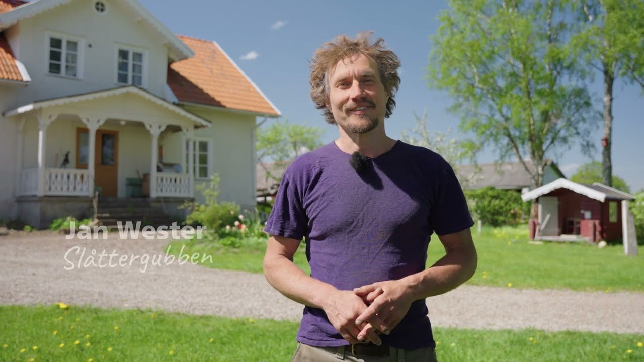 Gör som Slåttergubben - hjälp de vilda pollinatörerna!