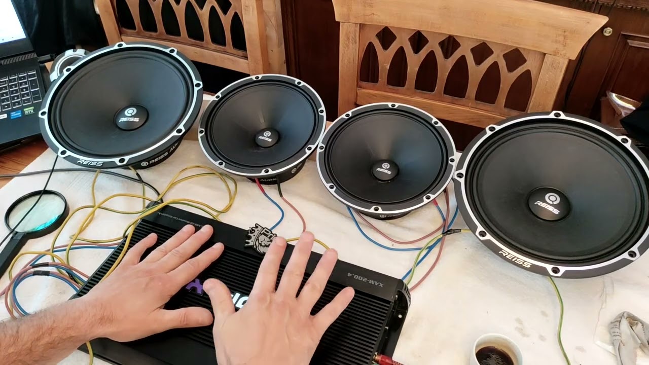 reis rs  M 10 DM 25cm midrange