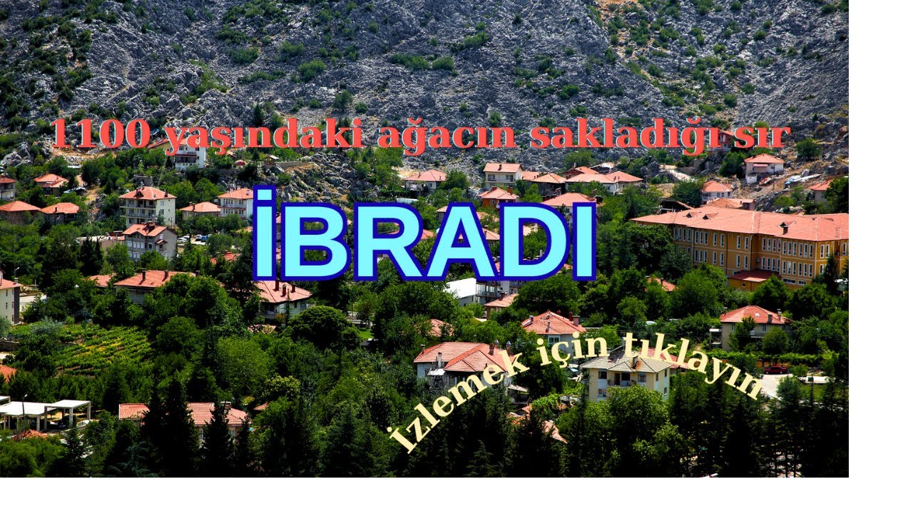 BİN 100 YILLIK KESTANE AĞACININ SIRRI: İBRADI