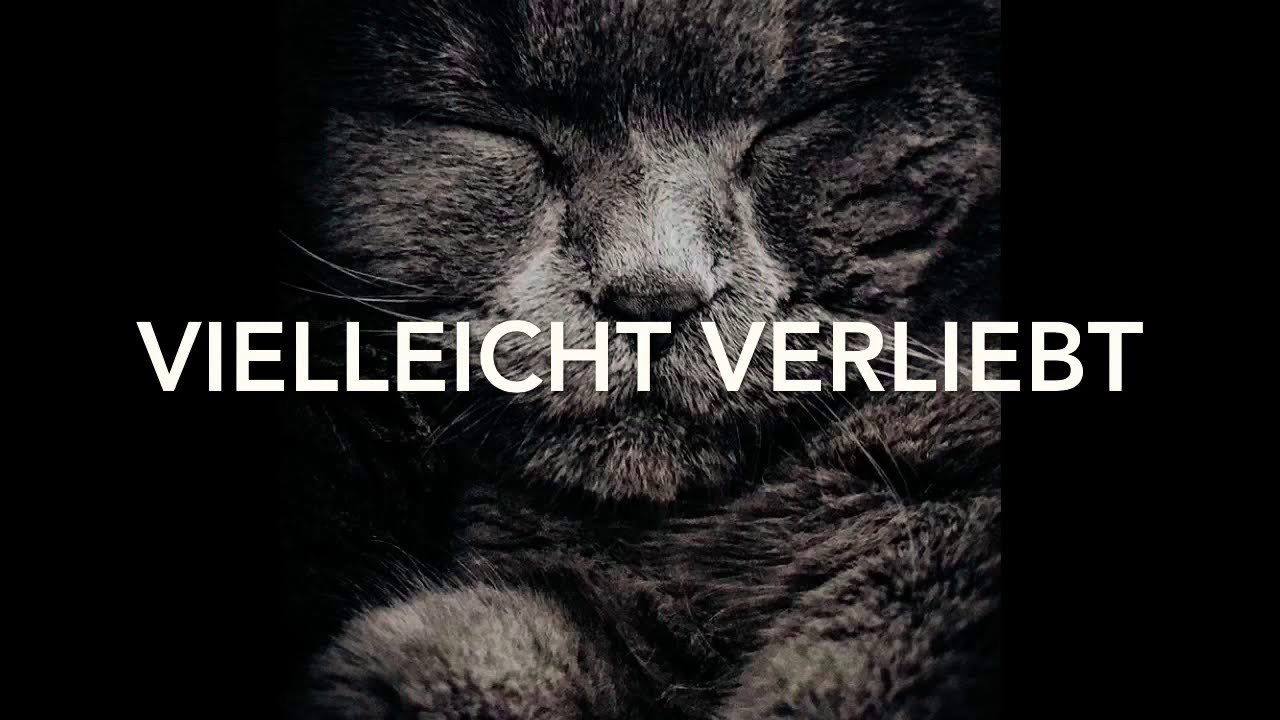 Vielleicht Verliebt - Leolixl (Nightcore MIX) by Philipp swe