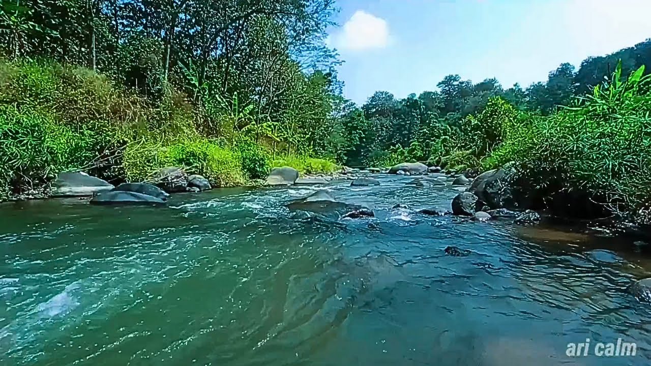 RELAX WITH BABBLING STREAM & ROCKS – PEACEFUL WATER SOUNDS FOR RESTFUL SLEEP #65